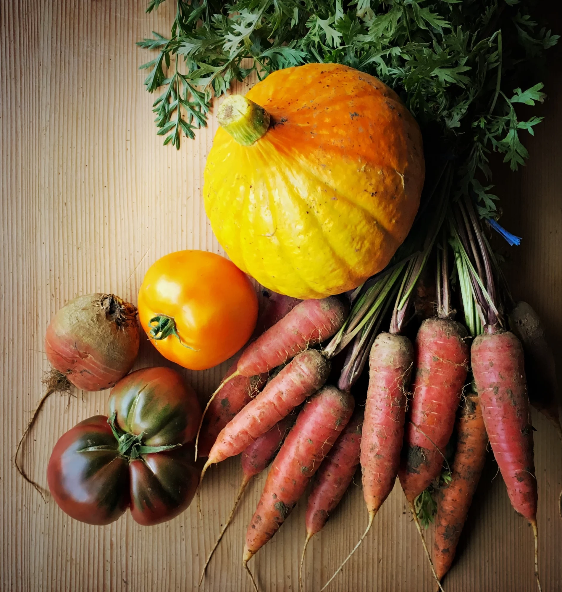 © La Beausserie - Maraîchers Producteurs locaux - Culture et récolte pour un panier plein de santé
